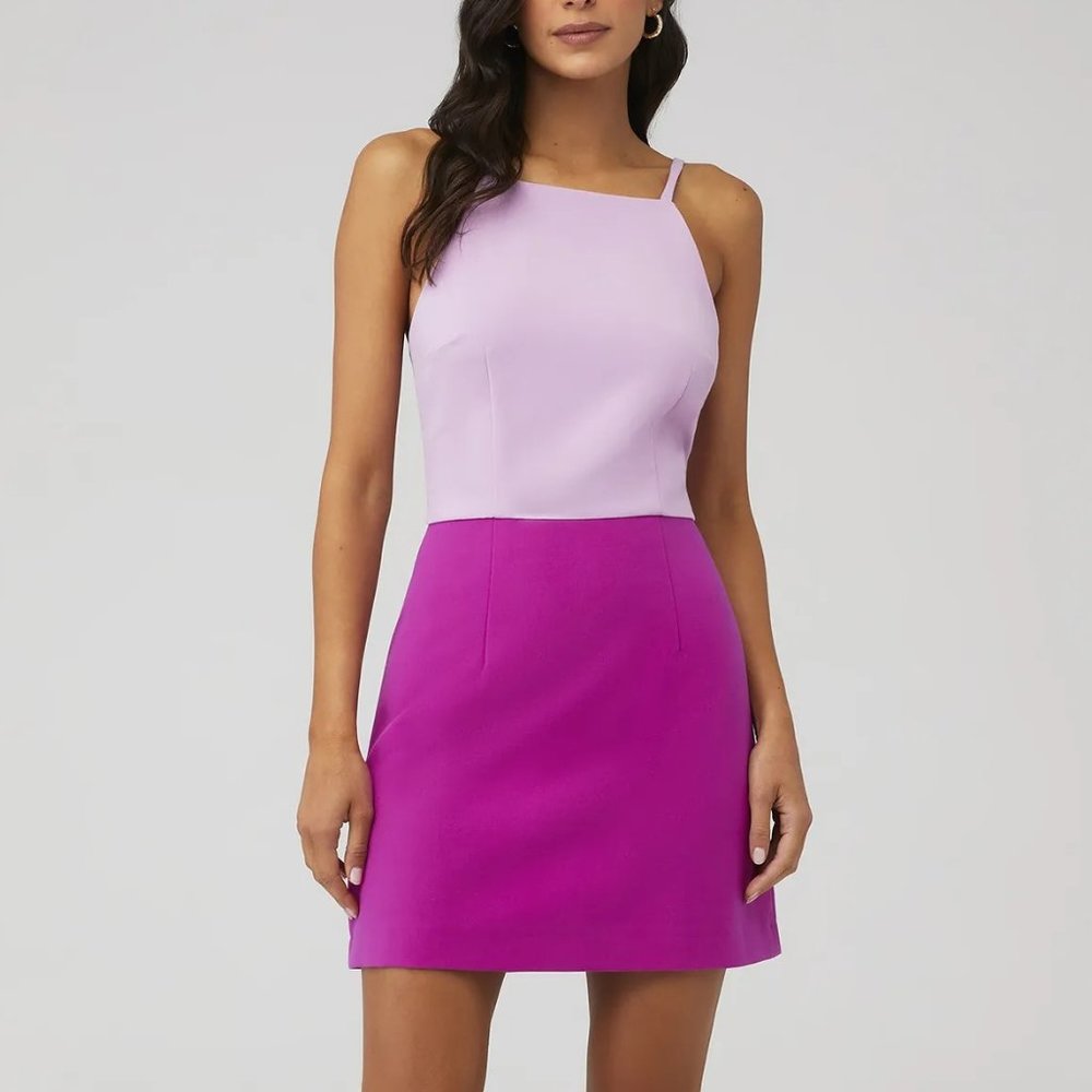 NWT Color Block Whisper Dress French Connection